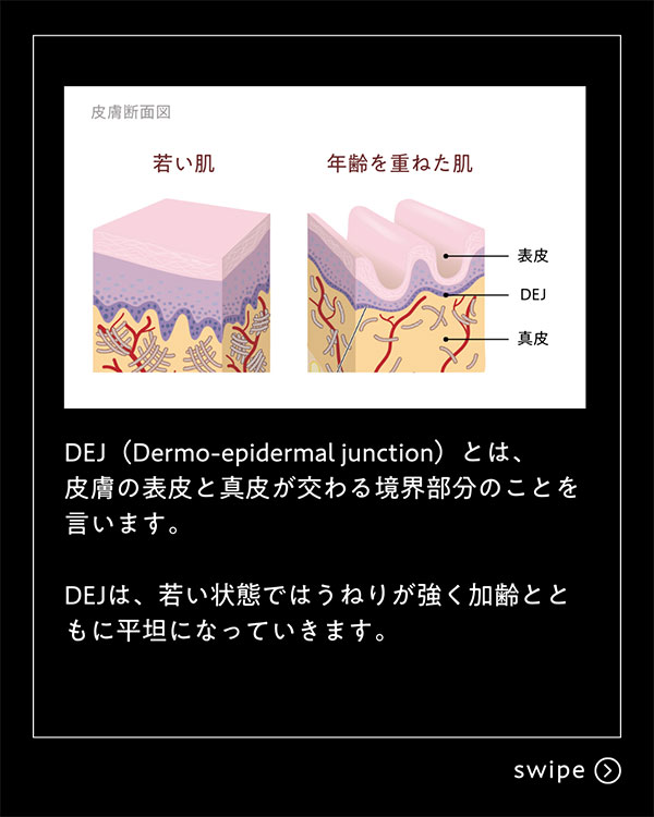 DEJ　シリーズのイメージ写真